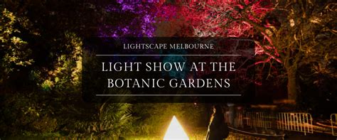 Magical garden a mesmerizing light presentation